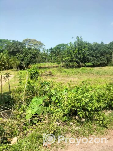 ২৬ শতাংশ। জমি বিক্রয় করা হইবে।