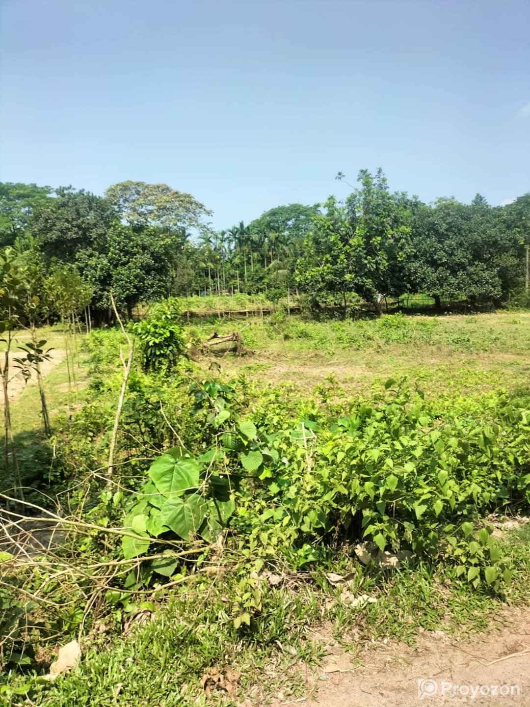 ২৬ শতাংশ। জমি বিক্রয় করা হইবে।