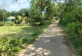 ২৬ শতাংশ। জমি বিক্রয় করা হইবে।