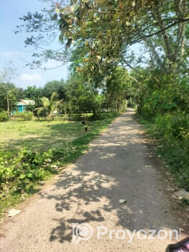 ২৬ শতাংশ। জমি বিক্রয় করা হইবে।