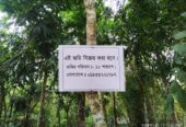 জমি বিক্রি করা হবে