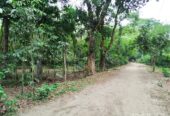 জমি বিক্রি করা হবে