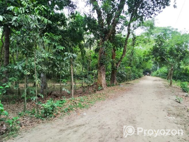 জমি বিক্রি করা হবে