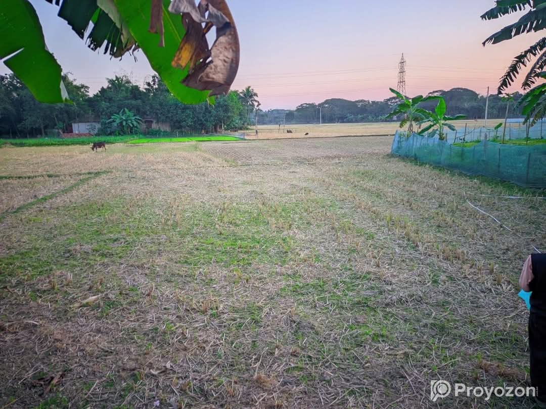 জমি জরুরি ভিত্তিতে বিক্রয় হবে