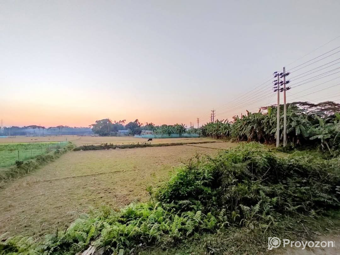 জমি জরুরি ভিত্তিতে বিক্রয় হবে