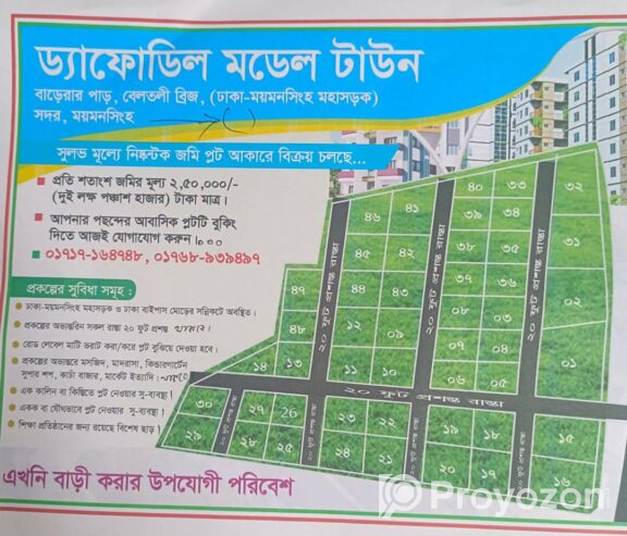 প্লট আকারে জমি বিক্রি করা হচ্ছে