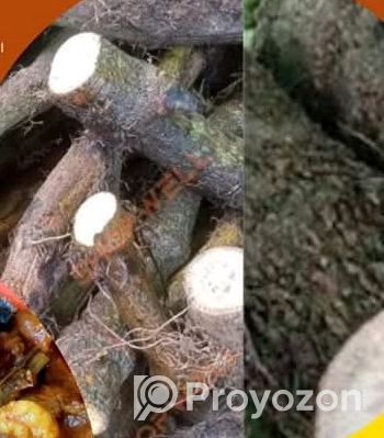চুইজাল বিক্রি করা হবে।