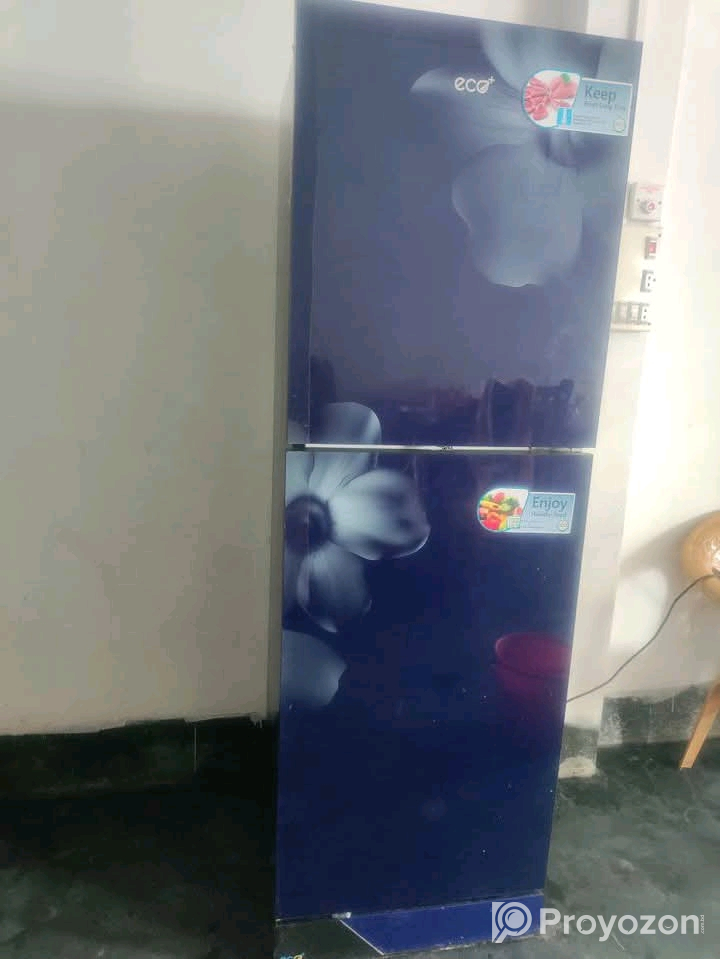 ২৫৫ লিটারের একটি ফ্রিজ বিক্রি করা হবে।