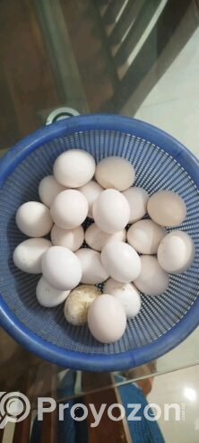 ফাওমি ডিমের বীজ বিক্রি করা হবে।