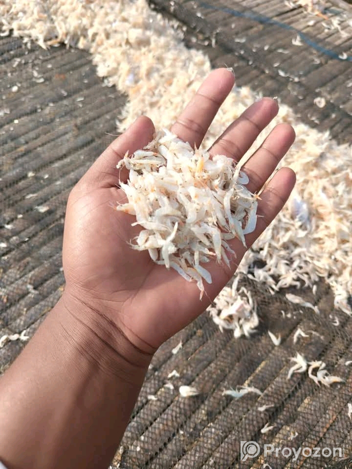 শুঁটকি মাছ অর্ডার নেওয়া হয়।