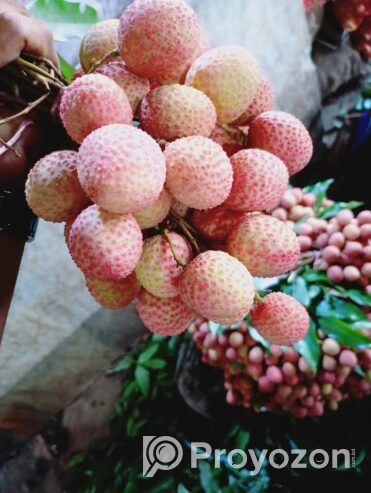 দেশি লিচু বিক্রি করা হবে।