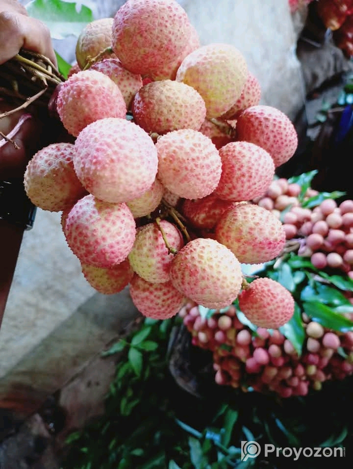 দেশি লিচু বিক্রি করা হবে।