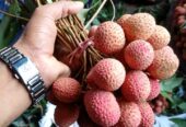 দেশি লিচু বিক্রি করা হবে।