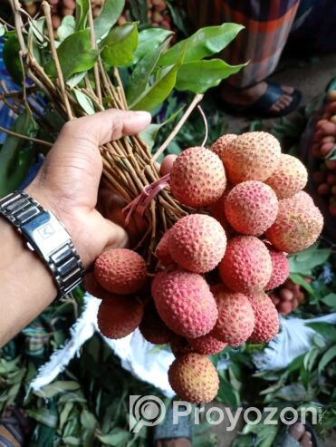 দেশি লিচু বিক্রি করা হবে।
