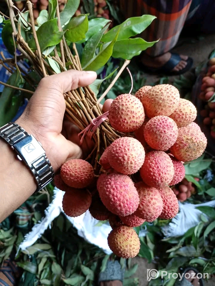 দেশি লিচু বিক্রি করা হবে।
