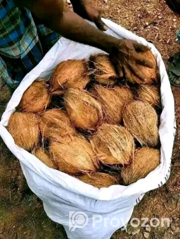 পাইকারি দামে নারকেল বিক্রি করা হবে।