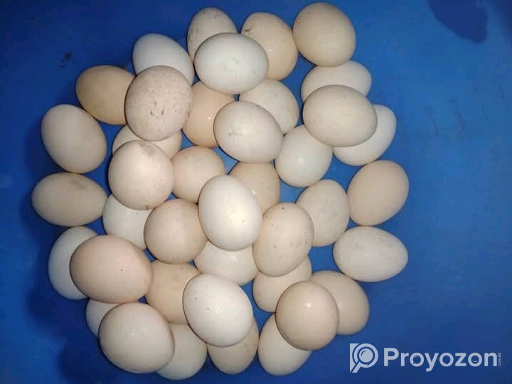 দেশি মুরগির ডিম বিক্রি করা হবে।