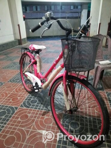 একটি বাইসাইকেল বিক্রি করা হবে