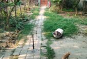 ব্যাচেলর/ছাত্রদের জন্যে রুম ভাড়া দেওয়া হবে