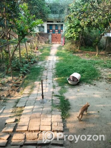 ব্যাচেলর/ছাত্রদের জন্যে রুম ভাড়া দেওয়া হবে