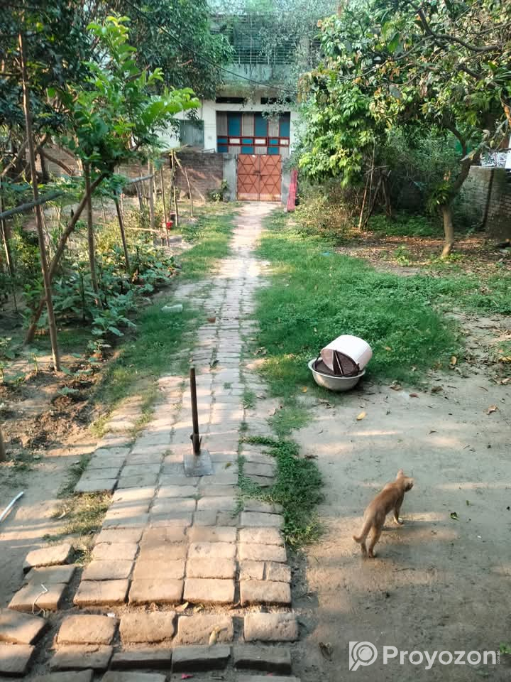 ব্যাচেলর/ছাত্রদের জন্যে রুম ভাড়া দেওয়া হবে