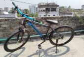 Peerless cycle Condition Good
