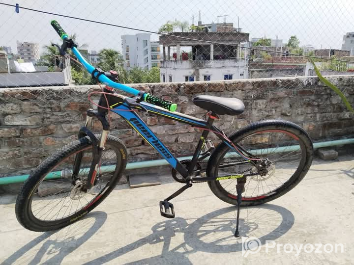 Peerless cycle Condition Good