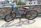 Peerless cycle Condition Good
