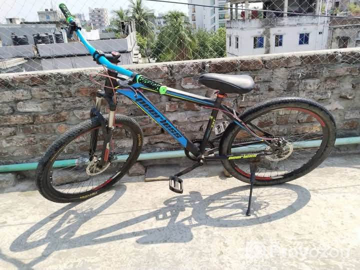 Peerless cycle Condition Good