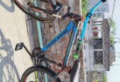 Peerless cycle Condition Good