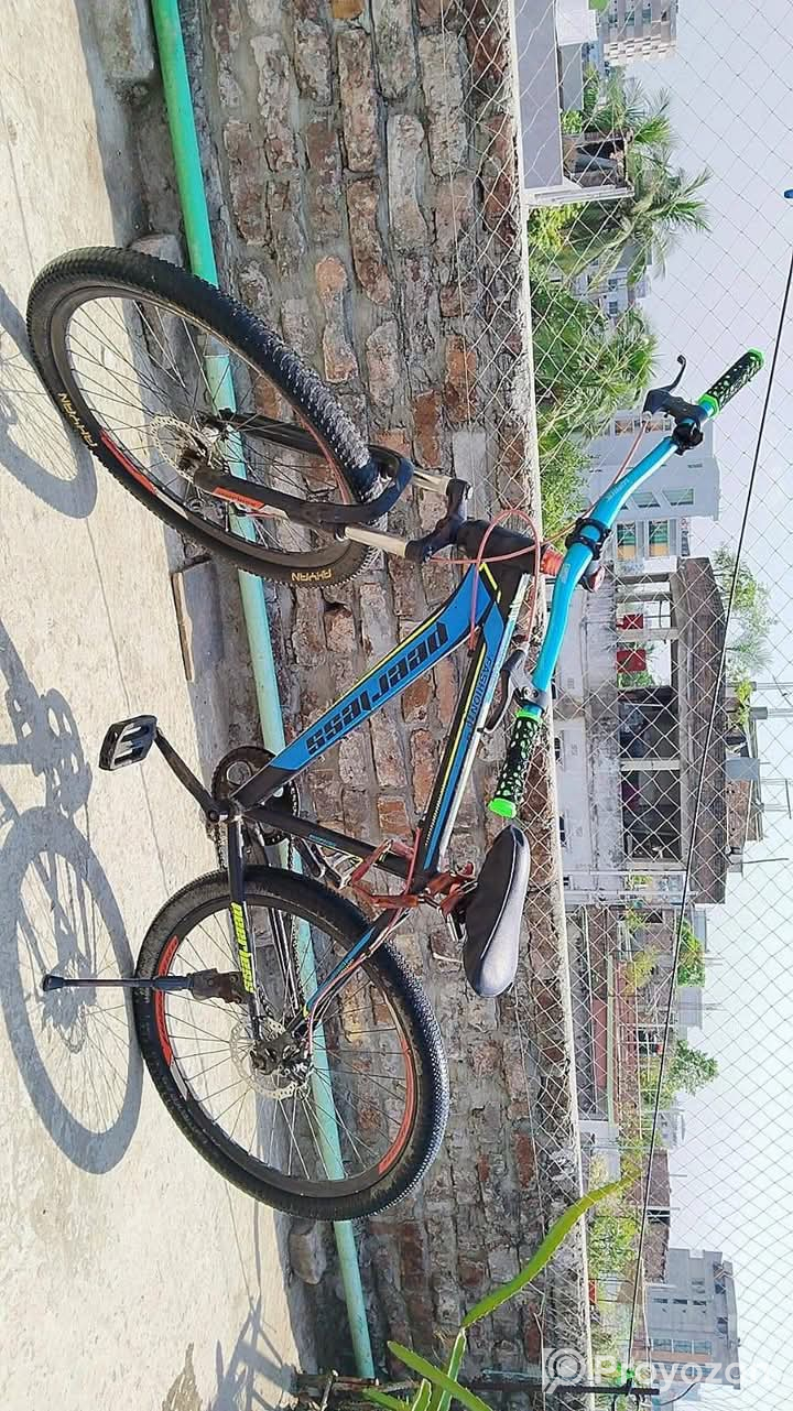 Peerless cycle Condition Good