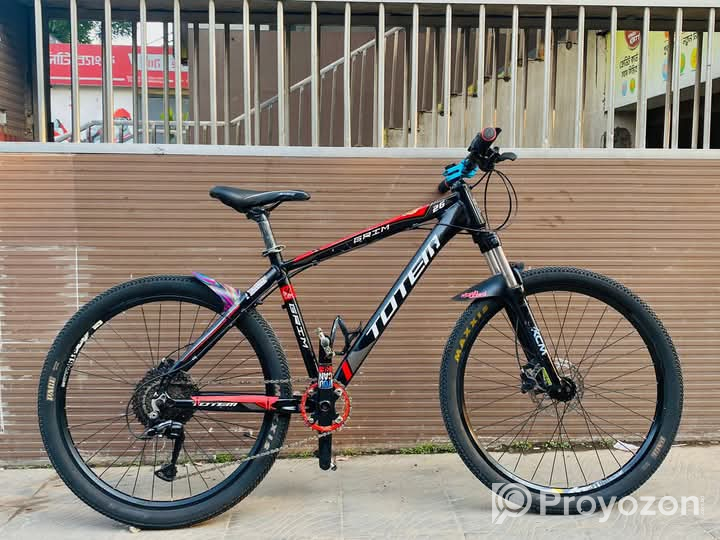 Totem grim 26″ er customs build