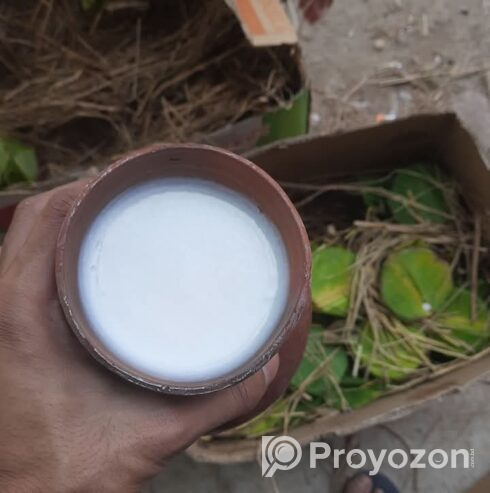 যাদের চট্টগ্রামে মহিষের খাঁটি দই এর প্রয়োজন