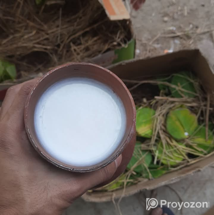যাদের চট্টগ্রামে মহিষের খাঁটি দই এর প্রয়োজন