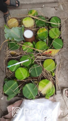 যাদের চট্টগ্রামে মহিষের খাঁটি দই এর প্রয়োজন