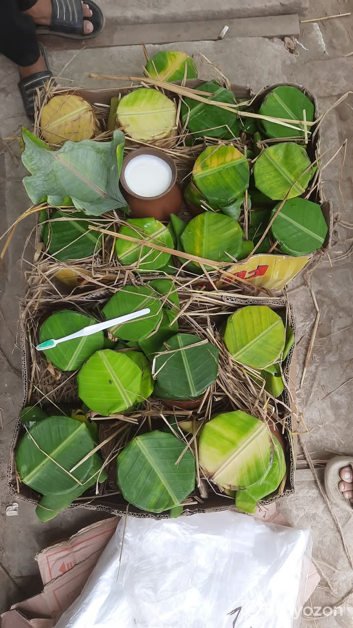 যাদের চট্টগ্রামে মহিষের খাঁটি দই এর প্রয়োজন
