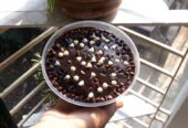 Chocolate Tub Cake with gift