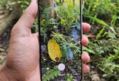 Samsung S23