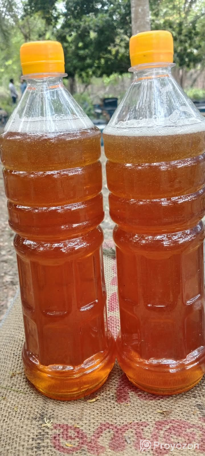 লিচু ফুলের মধু সংগ্রহ করুন