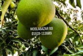 সুস্বাদু, মিষ্টি আর সুমিষ্ট ঘ্রাণে ভরা হিমসাগর