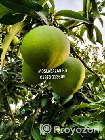 সুস্বাদু, মিষ্টি আর সুমিষ্ট ঘ্রাণে ভরা হিমসাগর