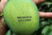 সুস্বাদু, মিষ্টি আর সুমিষ্ট ঘ্রাণে ভরা হিমসাগর