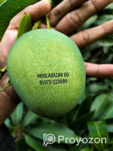 সুস্বাদু, মিষ্টি আর সুমিষ্ট ঘ্রাণে ভরা হিমসাগর