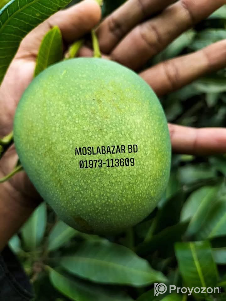 সুস্বাদু, মিষ্টি আর সুমিষ্ট ঘ্রাণে ভরা হিমসাগর