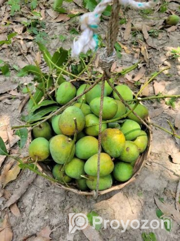 সুস্বাদু, মিষ্টি আর সুমিষ্ট ঘ্রাণে ভরা হিমসাগর