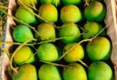 সুস্বাদু, মিষ্টি আর সুমিষ্ট ঘ্রাণে ভরা হিমসাগর