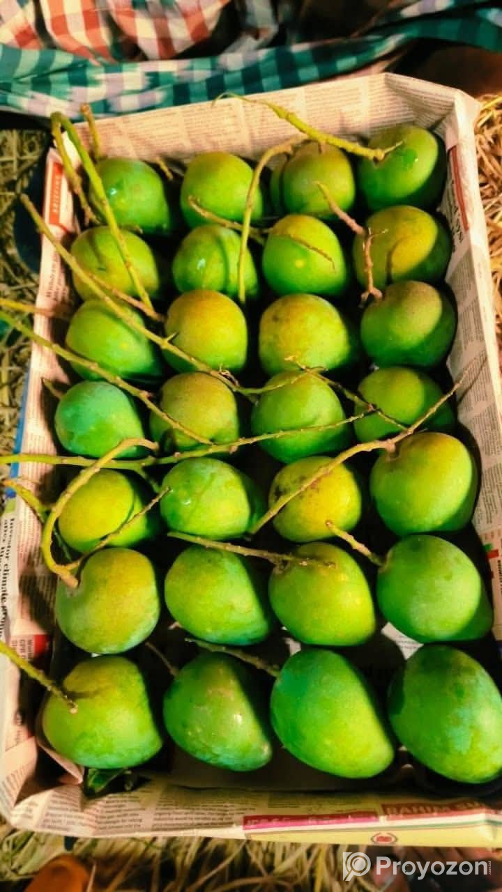 সুস্বাদু, মিষ্টি আর সুমিষ্ট ঘ্রাণে ভরা হিমসাগর