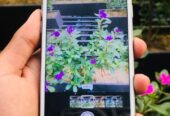 Iphone 6s128GB Battery 100% Change