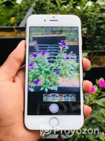 Iphone 6s128GB Battery 100% Change