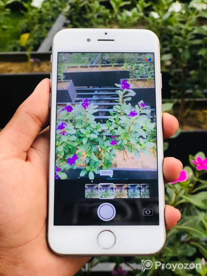 Iphone 6s128GB Battery 100% Change